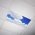 OCTO LIGHTS Fluorescent Light Covers Cloud Sky Panel for Ceiling Lights, Light Covers for Ceiling Lights Classroom 2x4 (22.38"x46.5") Backlit Film Insert for Fluorescent Light Fixtures (Pack of 1)