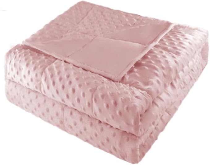 ALANSMA Reversible Weighted Blanket for All Season, Luxury Velvet, Warm and Cool, Adult Kids 20Lb Weighted Blanket, Enjoy Sleeping Anywhere(Pink,60"x80" 20lbs)