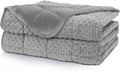 Weighted Blanket Queen 20lbs for Adult(60"×80",Gray) Breathable Soft Minky Weighted Throw Blanket for All Season,Heavy Blanket with Premium Glass Beads