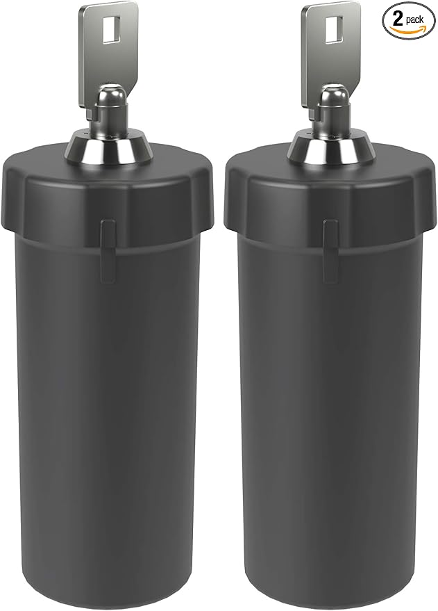 Ezy Dose Pill Box and Medicine, Vitamin Container, Safe for Money & Travel Items, Durable Canister, 2 Keys with Lock, Medium (Pack of 2)