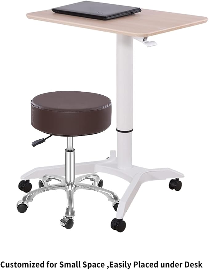 Thick Padding Swivel Rolling Stool,Adjustable Hydraulic Chair with Wheels for Medical Spa,Massage Salon,Home,Office,Clinic,Esthetician Artist Studio,Tattoo,Kitchen(Brown)
