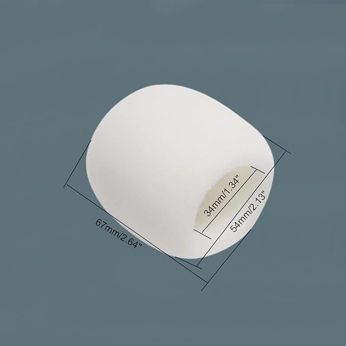 Fielect 2Pcs Microphone Cover Sponge Foam Mic Cover Handheld Microphone Windscreen Shield Protection Micro Foam Filter White for KTV Broadcasting
