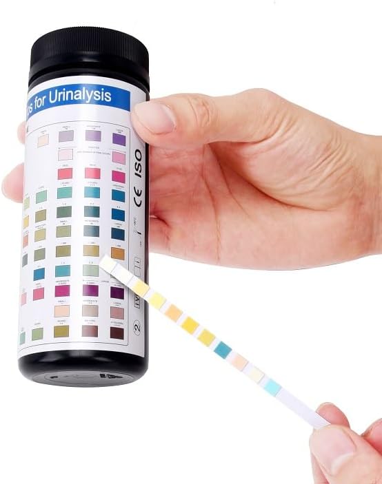 BecaGoode-Urine Rapid Test-Strips 11 Parameters, UTI Test Kit, Liver Function, Kidney and Gallbladder, Packed w/h Two Separate Foil Pouch in One Big Bottle - 120 Count