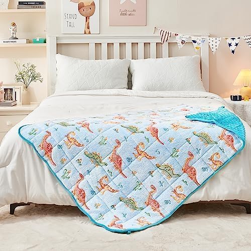yescool Weighted Blanket 3 Pounds Weighted Lap Blanket, Glow in The Dark Dinosaur Heavy Blankets, Warm Minky Weighted Throw Blanket Gifts for 20-40lbs, 36"x48"