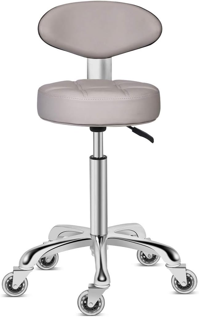 Kaleurrier Swivel Stool Chair Adjustable Height,Heavy Duty Hydraulic Rolling Metal Stool for Kitchen,Salon,Bar,Office,Massage (with Back Rest) (Grey)