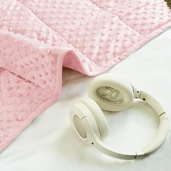 ALANSMA Reversible Weighted Blanket for All Season, Luxury Velvet, Warm and Cool, Adult Kids 20Lb Weighted Blanket, Enjoy Sleeping Anywhere(Pink,60"x80" 20lbs)