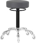 Swivel Rolling Stool Round Chair,Thick Sturdy Padding,Adjustable Stool with Wheels for Doctor,Medical,Massage Salon,Office,Shop(Gray)