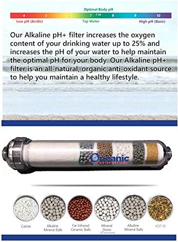 6 Stage- Alkaline Antioxidant | KDF | Mineral pH Balancing Ionizer Drinking Water Filter Inline | 2.5"x 12"