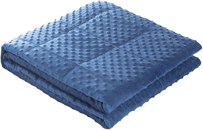 Weighted Blanket with Minky Duvet All Season,Reversible Soft Heavy Weighted Blanket for Adult Blue(7lb,40in*60in)