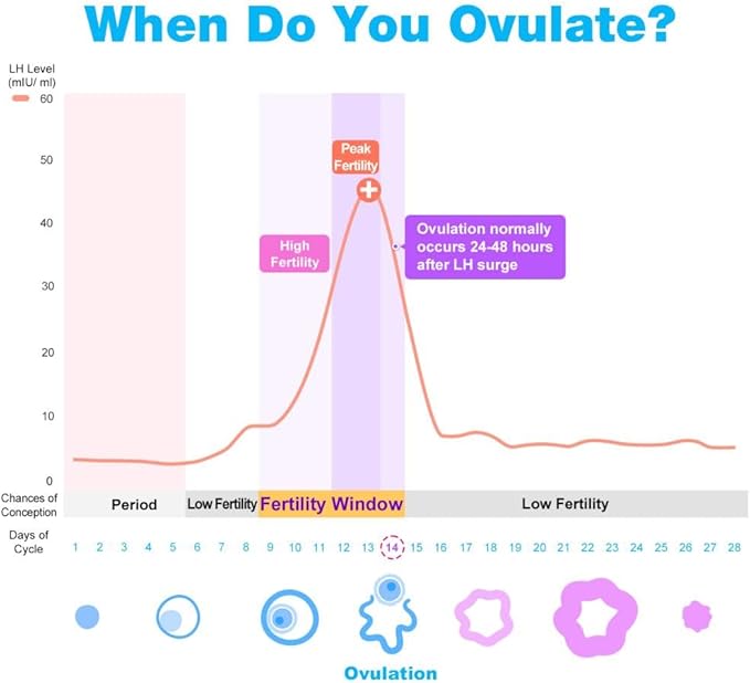 Easy@Home Ovulation Test Strips (100-pack) Value Pack, Reliable Ovulation Preditor Kit and Fertility Test, 100 Tests
