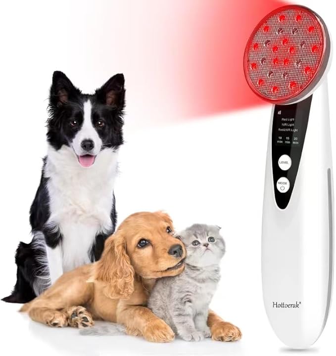 Portable Red Light Therapy, Handheld Red Light Therapy for Body, Near Infrared Light Therapy 660nm & 850nm at Home, Sliver
