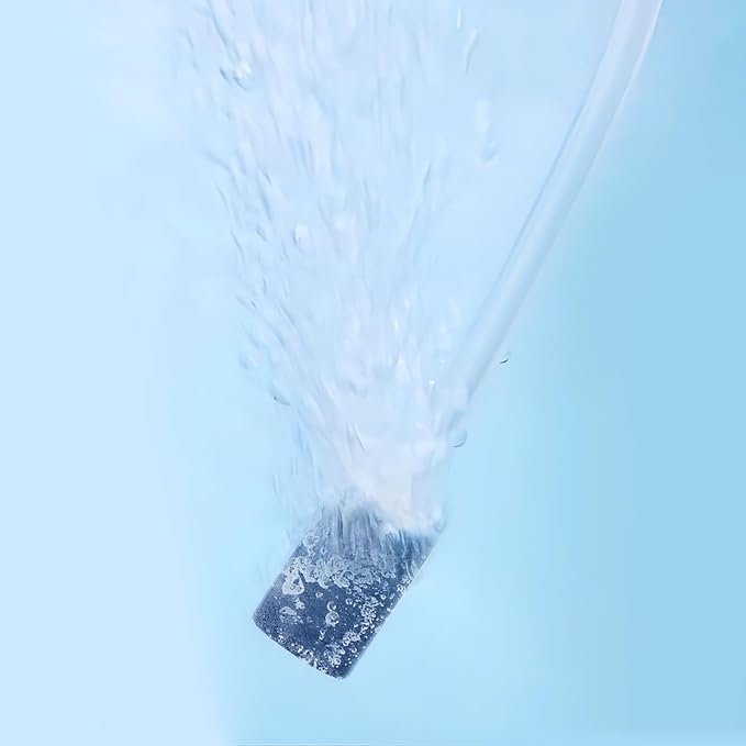 2000mg/H Ozone Generator with Timer, Ozone Generator Water Keep Cold Plunge Clean, Cold Plunge Filter, Ozone Bubbler for Produce, Ozone Generator for Cold Plunge, Ice Bath, Hot Tub,Spa