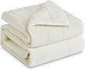 Sherpa Fleece Adult Weighted Blanket, 15 Pounds Dual Sided Soft Plush Blanket for Couch Bed Sofa, Heavy Thick Blankets with Glass Beads Great for Sleep, 48 x 72 inches, Cream White on Both Sides