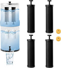 Gravity Water Filter Replacement,for Berkey® Black Carbon (BB9-2®) Purification Elements and Fluoride Filters K5366 (PF-2®) Combo Pack (4, Black Filter)