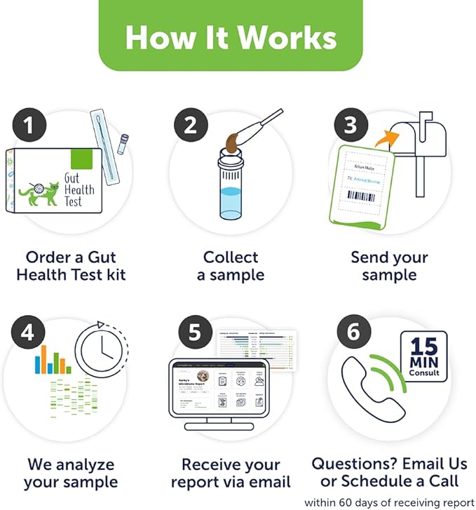 AnimalBiome Cat Gut Health Test – KittyBiome At Home Stool Testing Kit, Feline Fecal Analysis for Digestive Issues, Diarrhea & Allergy Insights w/Personalized Report & Custom Plan (Cats Outside US)