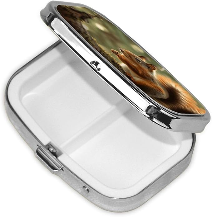 Square Pill Box 2 Compartment Medicine Pill Case Wildlife Forest Squirrel Pill Box for Purse Pocket Waterproof Metal Pill Container Portable Pill Holder Mini Pill Organizer for Travel or Daily