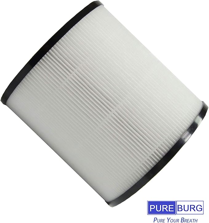 PUREBURG LW-04 Replacement Filter Compatible with INTEY NY-BG60 Air Purifier, 2-Pack H13 True HEPA Activated Carbon 3-Stage Filtration Air Clean Dust VOCs Odor