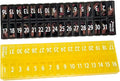 AM PM 31 Day Once-a Day Monthly Pill Planner Organizers - Large Compartment Pill Boxes Store Medications for Entire Month Plus Compartment for Extra Pills (AM/PM) (Am/Pm Black & Yellow)