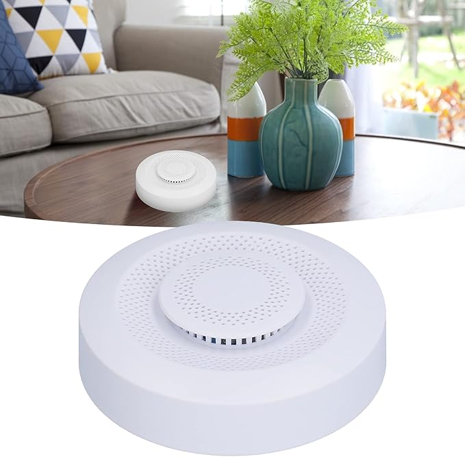Smart Air Quality Detector, Indoor Air Quality Box with APP Control, VOC Carbon Dioxide Detector for Air Quality Temperature Humidity Monitor
