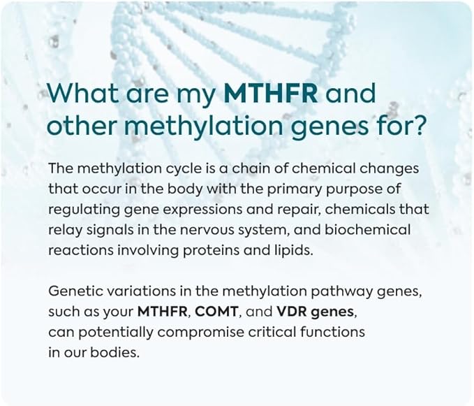 Methylation Gene Test MTHFR COMT VDR Analysis 3-Pack Kit for Families - 12 Methylation Genes Variants