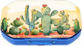 This Portable Cacti in The Desert Pattern 6 Compartment Pill Box Can Be Placed in A Pocket Or Wallet to Store Vitamins, Medicines Health Supplements Other Medications.