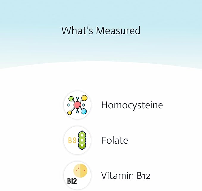 3-in-1 Methylation Screening Panel | Homocysteine, Folate, B12 | at-Home Test | Cap & CLIA Accredited Testing | Not Testable in NY & RI