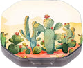 This Portable Cacti in The Desert Pattern 4 Compartment Pill Box Can Be Placed in A Pocket Or Wallet to Store Vitamins, Medicines Health Supplements Other Medications.