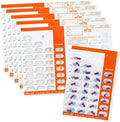Color Coded Monthly 31 Day Medication Blister Cards Cold Seal - Use Colors for Daily, AM/PM, 3X, 4X, 5X a Day Pill Organizer (6 Pack Orange)