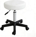 ZENY Adjustable Swivel Rolling Stool Chair with Wheels for Home Office Beauty Salon Spa Medical Tattoo Drafting, White