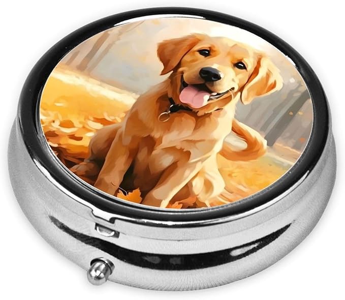 Autumn Forest Cute Dog Labrador Pill Box 3 Compartment Pill Case, Portable Medicine Pill Organizer for Pocket Purse Pill Box Decorative Metal Medicine Vitamin Organizer
