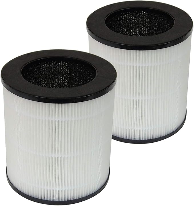 PUREBURG LW-04 Replacement Filter Compatible with INTEY NY-BG60 Air Purifier, 2-Pack H13 True HEPA Activated Carbon 3-Stage Filtration Air Clean Dust VOCs Odor