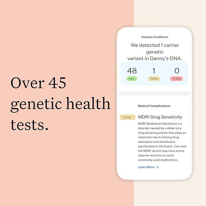 Wisdom Panel Complete: Comprehensive Cat DNA Test kit for 45 Health Genetic Health Conditions, 70+ Breeds and populations, 25+ Traits, Blood Type - Pack of 2