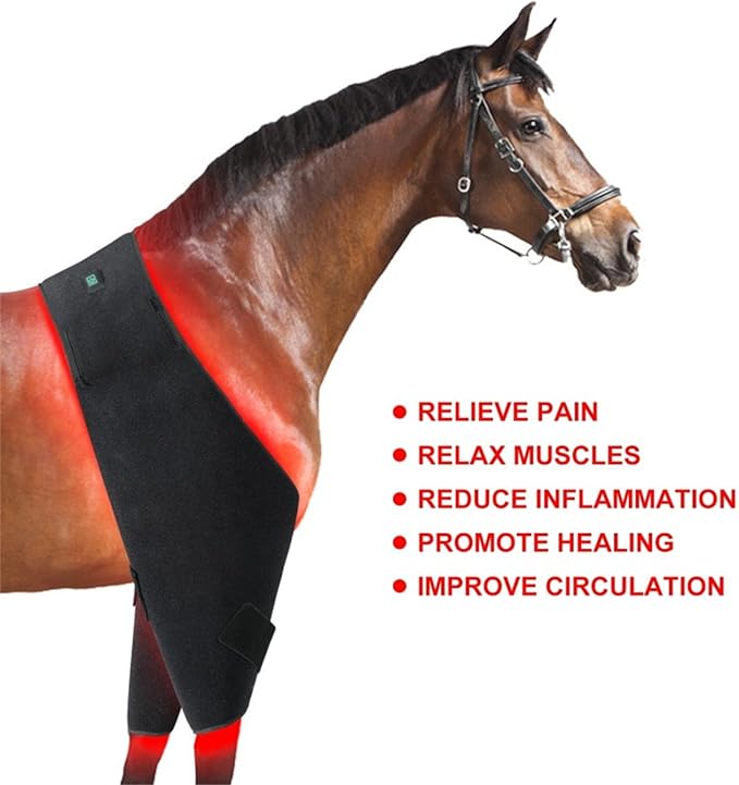 LED Red Light Therapy Device for Horse, Horse Near Infrared Therapy Wrap Portable Deep Light Therapy Red Light, Gen Daily Use