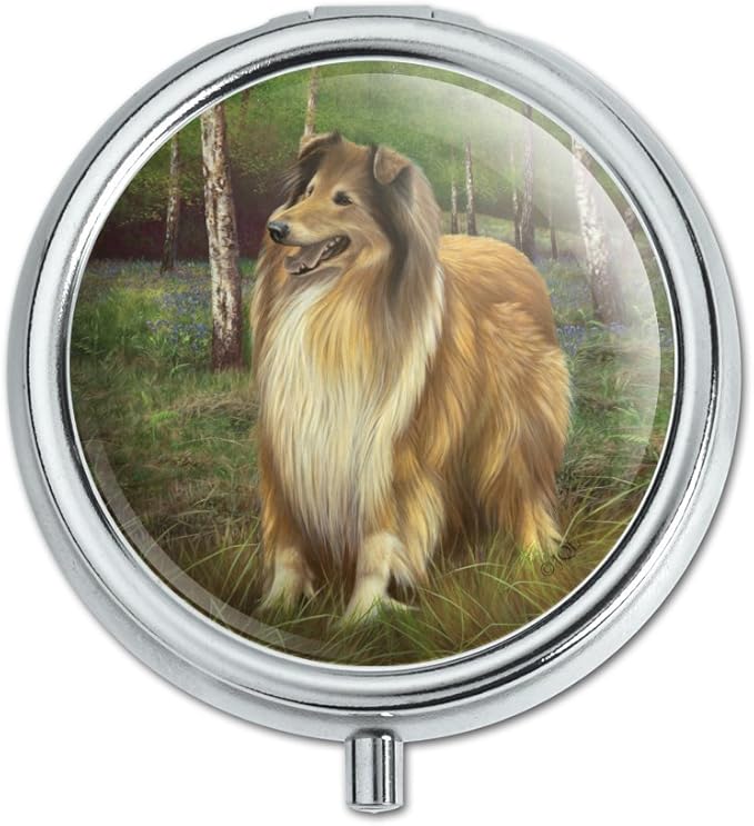 Collie Dog in The Woods Pill Case Trinket Gift Box