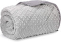 MAXTID Weighted Blanket for Kids 10 lbs 41x60 Double Heavy Blanket Gift for Children