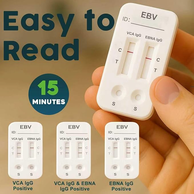 Epstein Barr (EBV) at-Home Test Kit | Detects IgG Response to VCA & EBNA | 15-Minute Rapid Result | Easy Fingerstick Sample