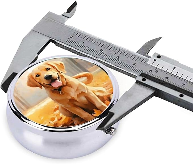 Autumn Forest Cute Dog Labrador Pill Box 3 Compartment Pill Case, Portable Medicine Pill Organizer for Pocket Purse Pill Box Decorative Metal Medicine Vitamin Organizer