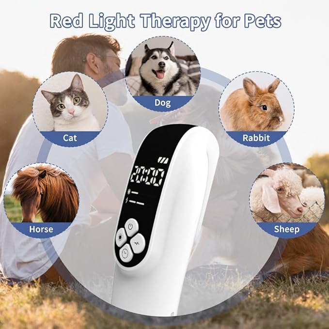 2-in-1 Red Light Therapy Device with Adjustable Strap, Dual Modes, Hands-Free Design for Daily Comfort