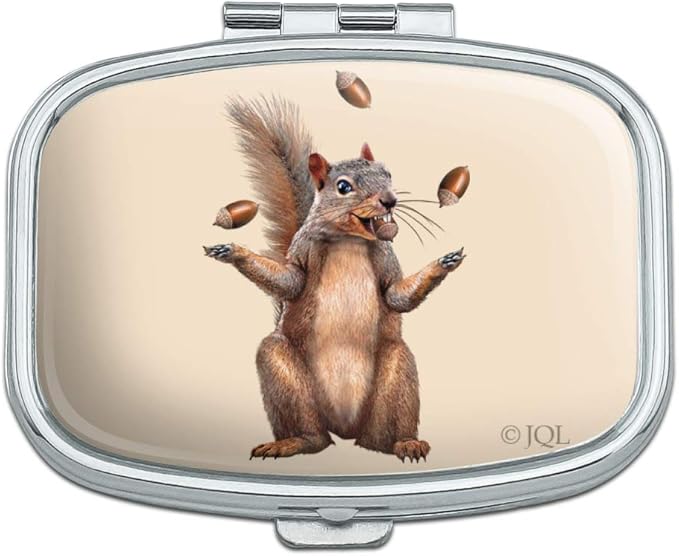 Squirrel Juggling His Nuts Crazy Funny Rectangle Pill Case Trinket Gift Box