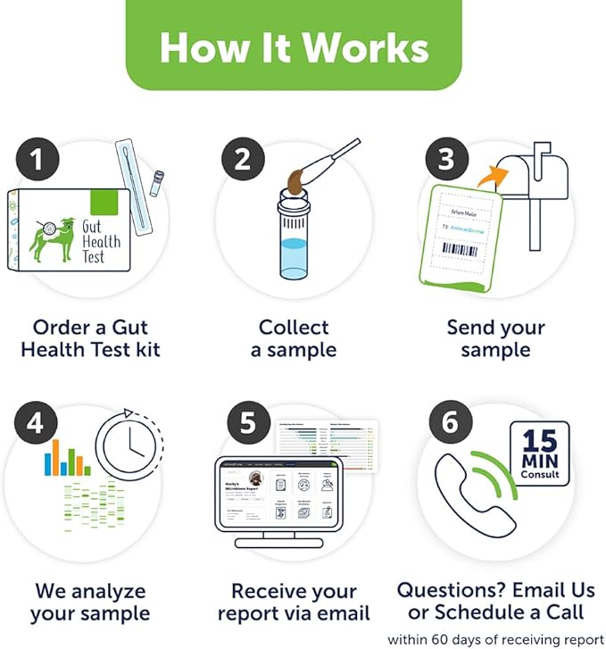 AnimalBiome Dog Gut Health Test – DoggyBiome At Home Stool Testing Kit, Canine Fecal Analysis for Digestive Issues, Diarrhea & Allergy Insights w/Personalized Report & Custom Plan (Dogs Outside US)