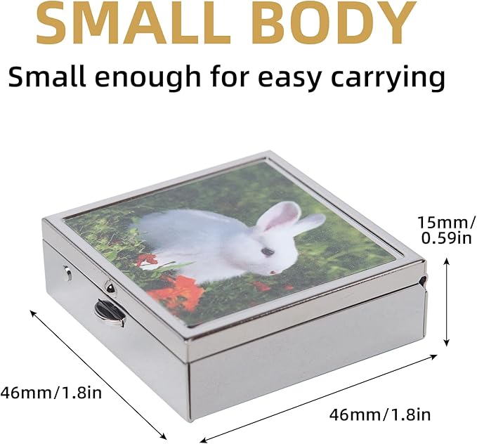 Simple Metal Portable Mini Medicine Box Storage Case (Silver)