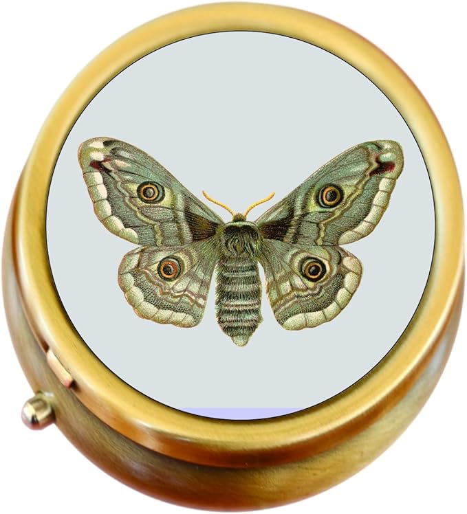 Vintage Moth Brass Pill Box