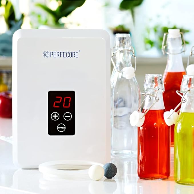 Water Ozonator - Odor Eliminator and Fresh Water Machine w/Diffuser Stones and Timer - For Home, Kitchen, Fruits & Vegetables - 600 mg/Hour﻿