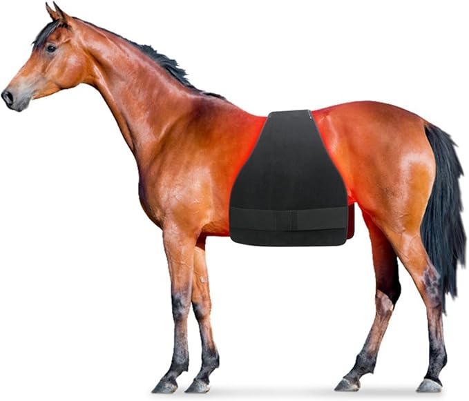 LED Red Light Therapy Device for Horse, Horse Near Infrared Therapy Wrap Portable Deep Light Therapy Red Light, Gen Daily Use