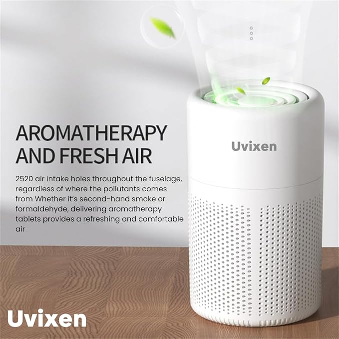 Air Purifiers for Home - Mini Air Purifier with HEPA Air Filter- USB Operated Air Purifier for Bedroom, Car and Living Room- Gift-Ready