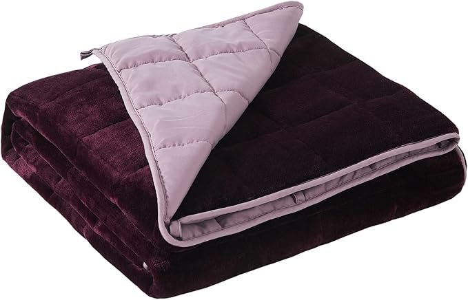 Satwip Weighted Blanket 20lbs Queen Size Fuzzy Warm Flannel Throw Blanket with Soft Breathable Sanded, 60 x 80 inches, Red Pink