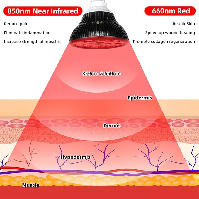 Red Therapy Light lamp 54 W 18 LED with Light Socket, Dual Chips Red 660 and Near Infrared 850nm Bulbs