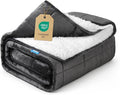 Weighted Blanket 20 lbs 60x80 inches, Sherpa Fleece Throw Blanket for Winter, Fuzzy Fluffy Soft Cozy Heavy Blanket for Couch Sofa, Plush Thick and Warm Blanket Queen Size Bed