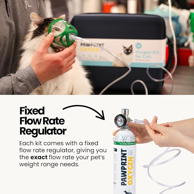 Cat Rescue Oxygen Kit – Portable Oxygen Supply for Pets for Transport and Rescue – Oxygen, Mask, Regulator, Tubing & Travel Case Included (Rescue Oxygen Kit for Cats 11+ lbs)
