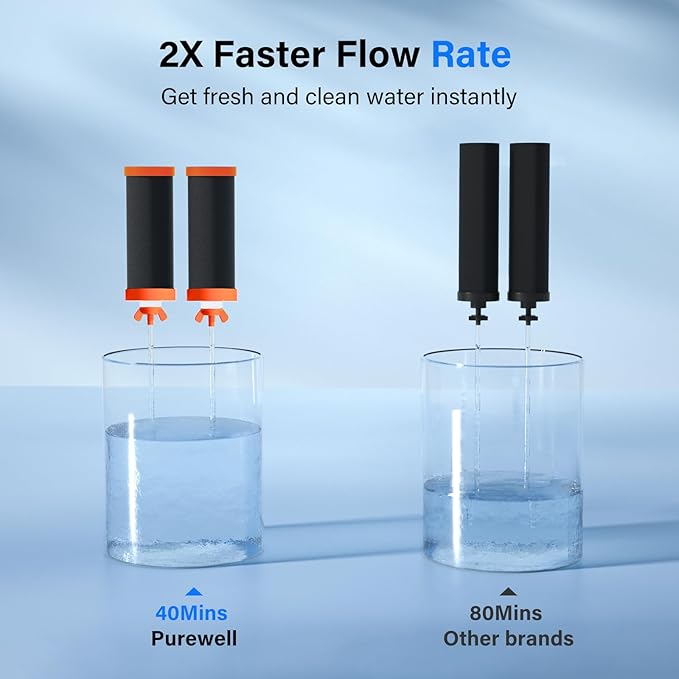 Purewell PF-3-FL Black 4-Stage Composite Carbon and Fluoride Reduction Filters, Compatible with Berkey® Big+, ProOne® Big+ Gravity Water Filter Systems and Purewell Systems (2 Pack, K Series)